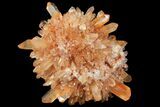 Orange Creedite Crystal Cluster - Durango, Mexico #99185-1